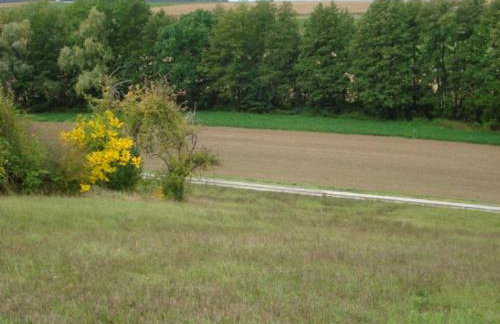 Ferienwohnung Tröppner - Foto 10