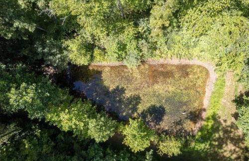 High Hollow Cottage Modern Tiny Home with Hot Tub - Foto 23