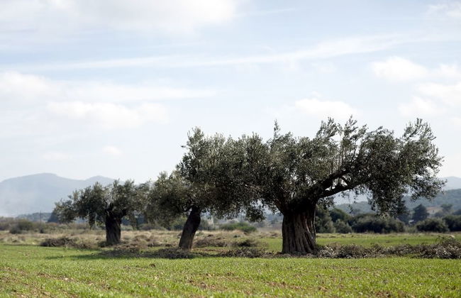 Outstanding Panoramic View, 10΄ Beach, 20΄ Airport - Foto 46