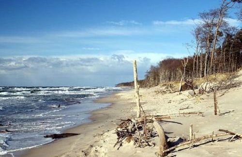 TROLLHUS - Großes familienfreundliches Ferienhaus - Foto 1