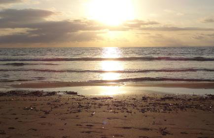 White Villas - Foto 28