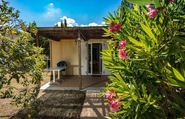 VVF Sigean Port-la-Nouvelle Corbières - Foto 47