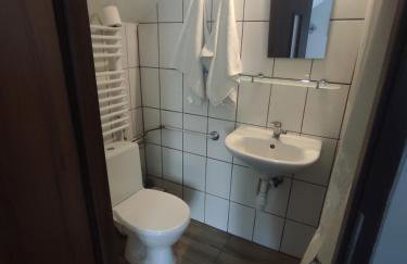 Pokoje gościnne u Ewy Cisna - Photo 6