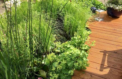 Ferienwohnung HYGGELIG - Göttingen Harz Duderstadt - Foto 65