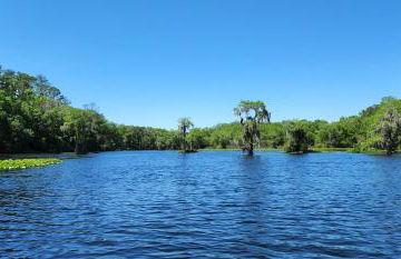 Wise Owl Retreat on the River - Foto 35