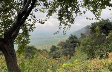 Dicker Stein - Foto 32