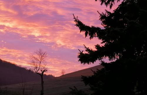 Zurück zur Natur - Urlaub im Zirkuswagen, Sommeratelier oder Schindelwagen - Foto 19
