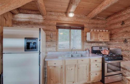 Cozy Log Cabin Loft Hot Tub on 5 wooded acres - Foto 7