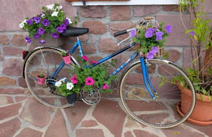 Casa Rural Amazonas - Foto 29