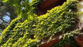 La Casita de Navacerrada - Foto 4