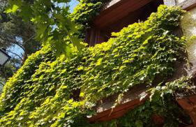 La Casita de Navacerrada - Foto 4