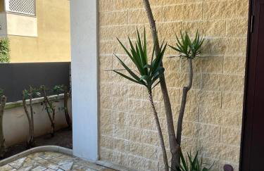 Ancora del Salento - Foto 34