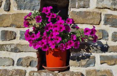 Gîte les trois abeilles - Foto 2