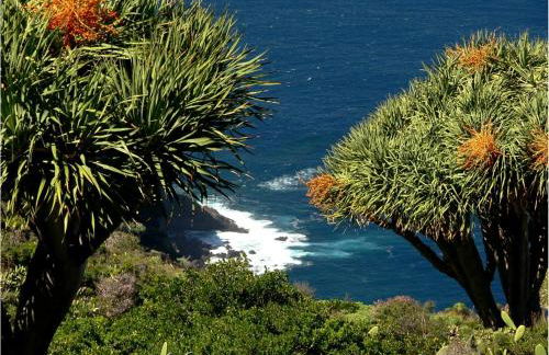 Villa Buena Vista - Foto 35