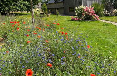 Maison de charme dans un Écrin de Verdure et calme - Foto 39