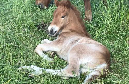 Ferienwohnung Zweinig02 - Foto 21