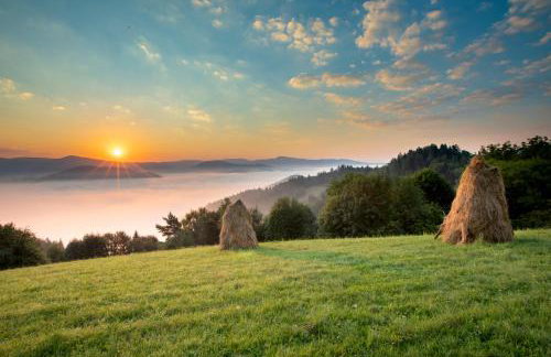 Zielona Granica - Foto 19