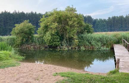 Domek Leśne Zacisze - Foto 20