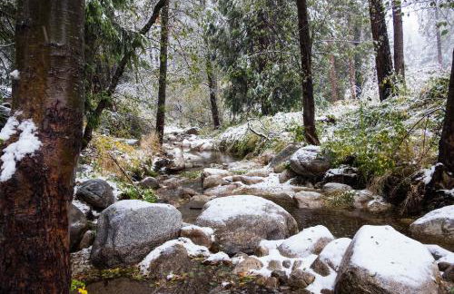 Wildland Aerie at Treehaus with Creekside Hot Tub Pets OK - Foto 73