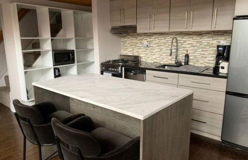 Lincoln Park Light-Filled Loft - Foto 3