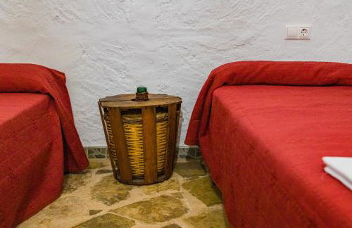 Cueva de la tía Flor - Foto 10