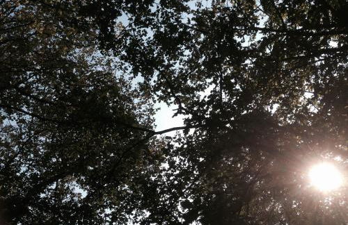 Moulin De Coupigny - Foto 73