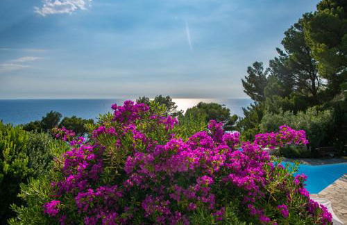 Il Carrubo Capri - Foto 29