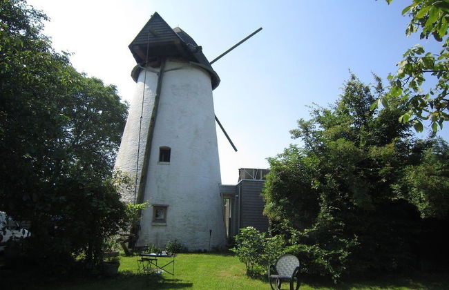 De Reus van Horebeke - Photo 38