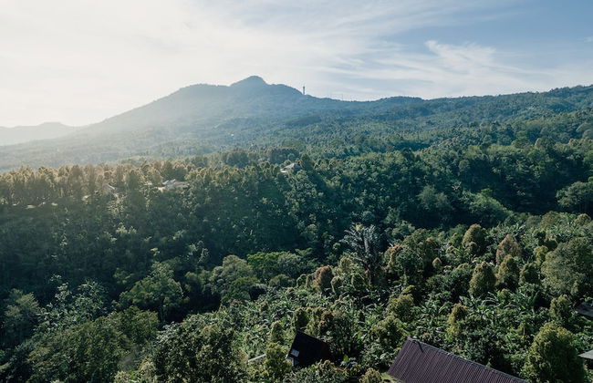 Villa Kayu Amertha - Foto 38