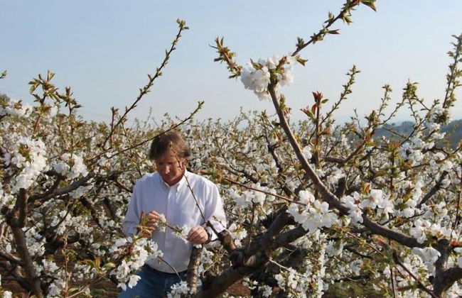 Tenuta Fortelongo - Foto 27