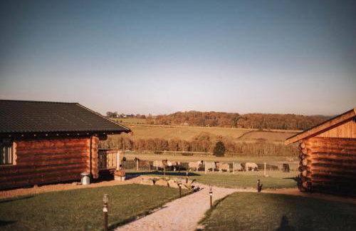 Willow - Tedstone Log Cabins - Foto 20