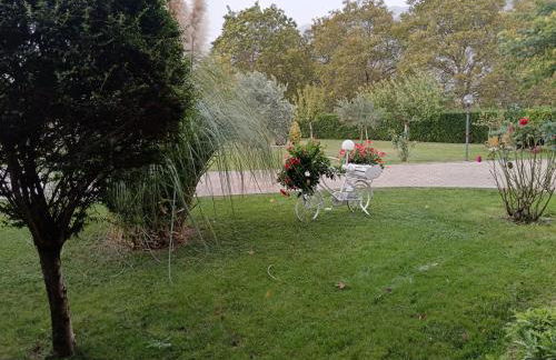 Parco delle Rose - Photo 27