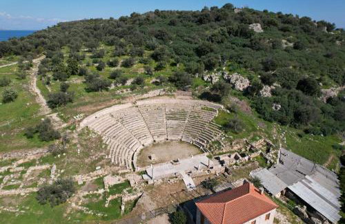 The Olive Tree - Photo 38