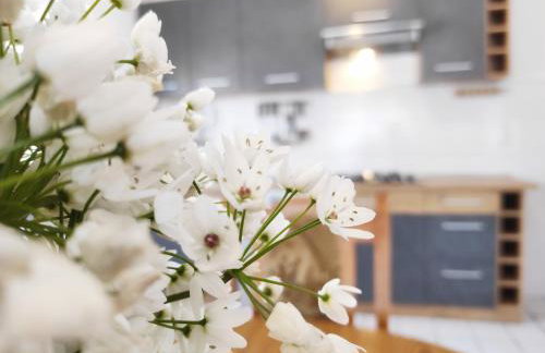 Apartment Ivy - Foto 6