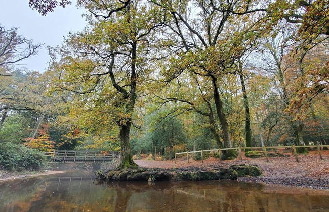 The Cedarwoods - Luxury Studio for 5! - Foto 32