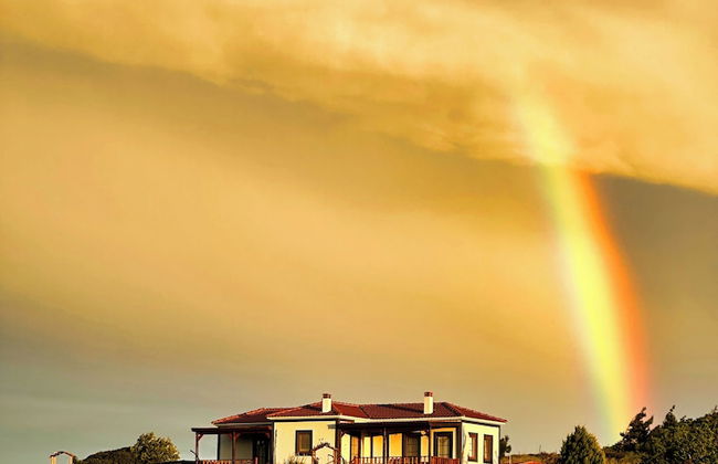 Tinos Otel & Bağ Evi (+12 Yaş) - Foto 50