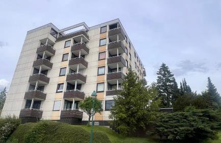 Apartment Am Paradies - Foto 10