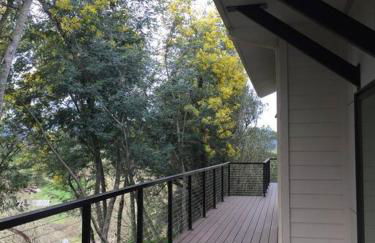 Modern Wine Country Home on 10 acres with vineyard - Foto 8