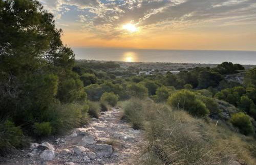 Iconic Alluba Alicante luxury bay - Photo 72