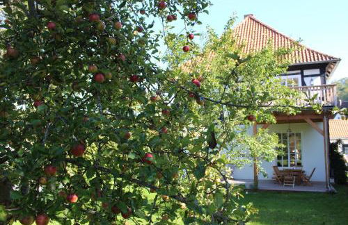 Forsthaus in Waldhessen - Foto 54