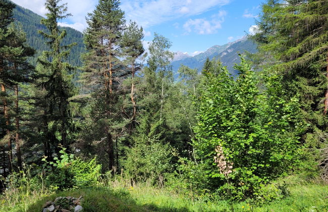 Lieblingsplatz - Foto 29