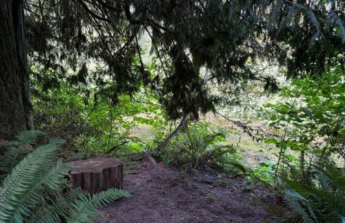 Enchanted Hollow- Cozy, Romantic Woodland Getaway - Photo 36