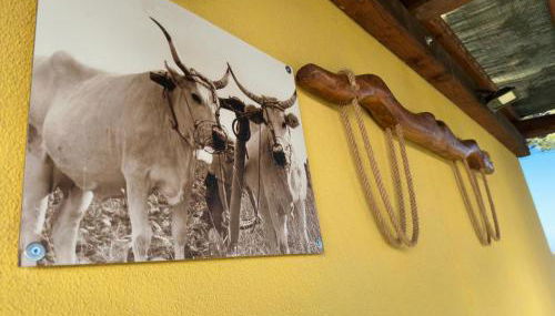 Villa Matilde - Foto 5