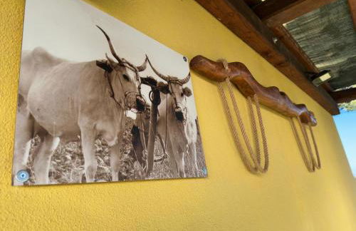 Villa Matilde - Foto 5