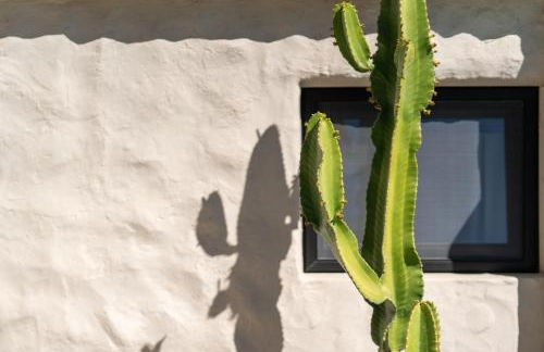 La Casita de Tafira - Foto 16