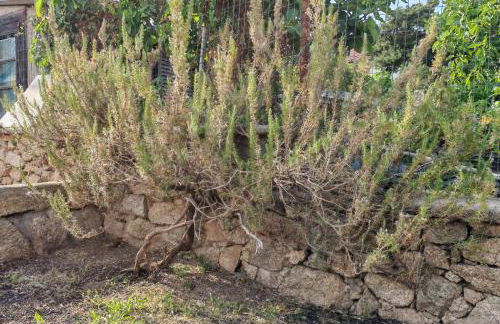 Residenza Moneta - Foto 21