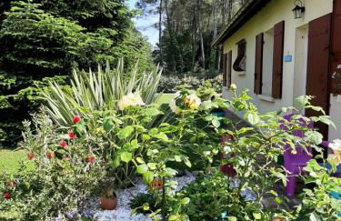 Gite climatisé L'Orée des Landes Proche Center Parcs - Foto 24