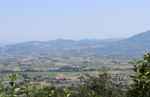 Società Agricola F.lli Angelucci - Foto 111