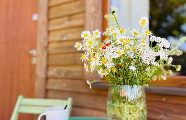 Przystanek Gałkowo - Foto 36