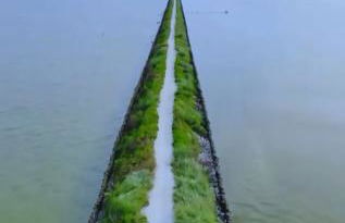 Vista sul Mare - Foto 15